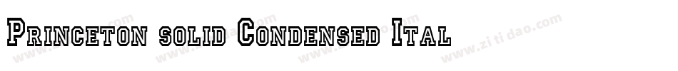 Princeton solid Condensed Italic字体转换